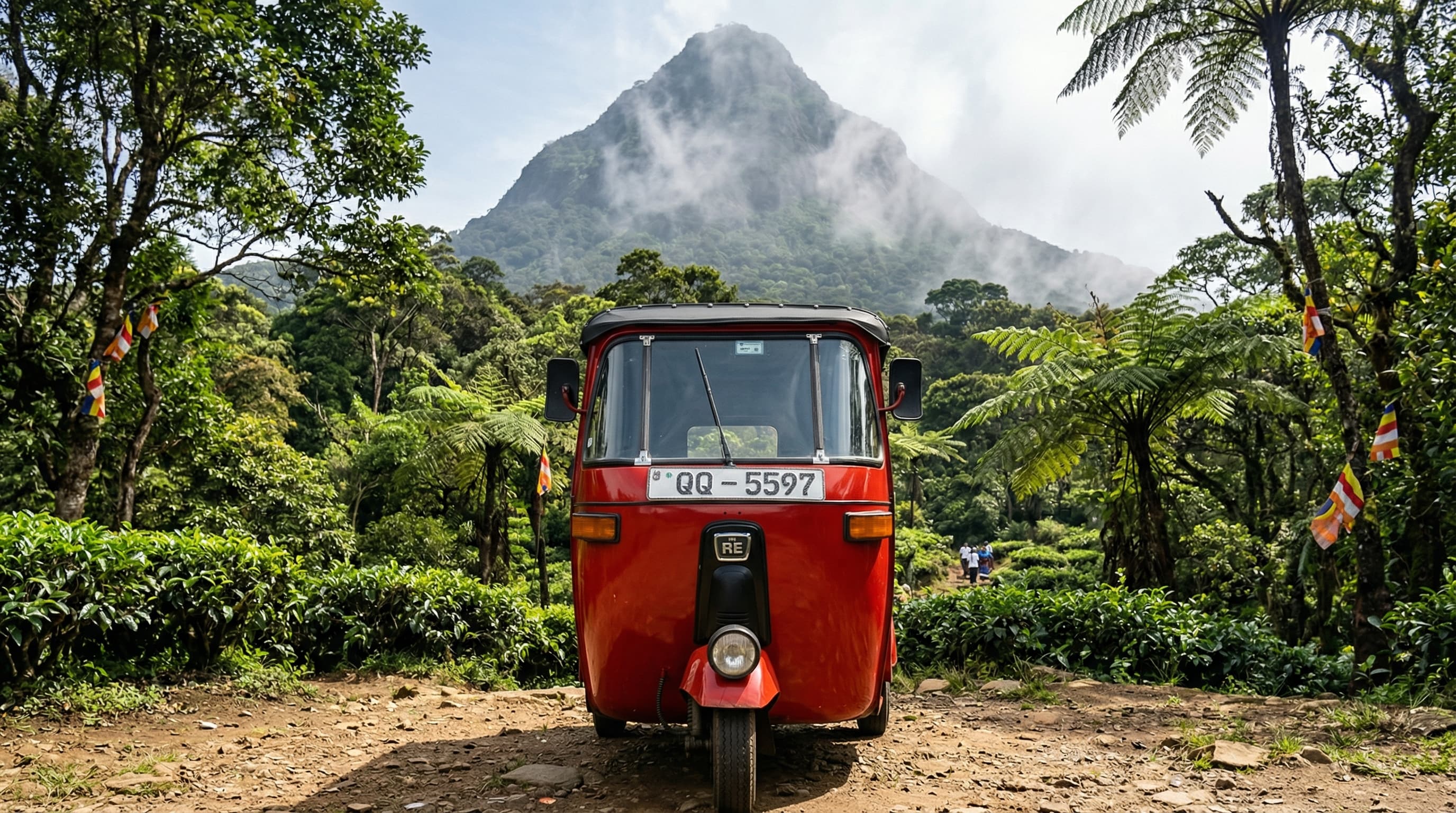 Curated Travel Packages